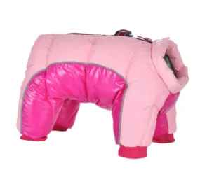 Alpine Ski Full Coverage Snowsuit