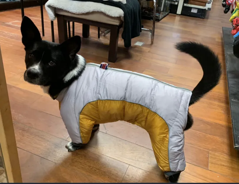 Alpine Ski Full Coverage Snowsuit
