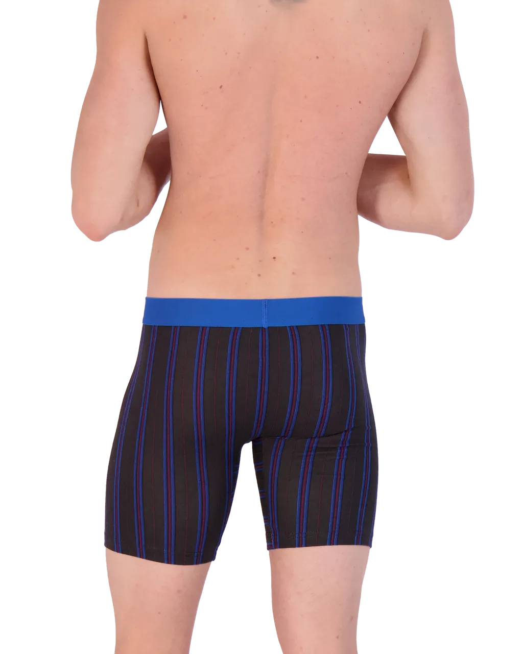 Biker Brief w/ Fly in Triple Threat Stripe by Wood Underwear