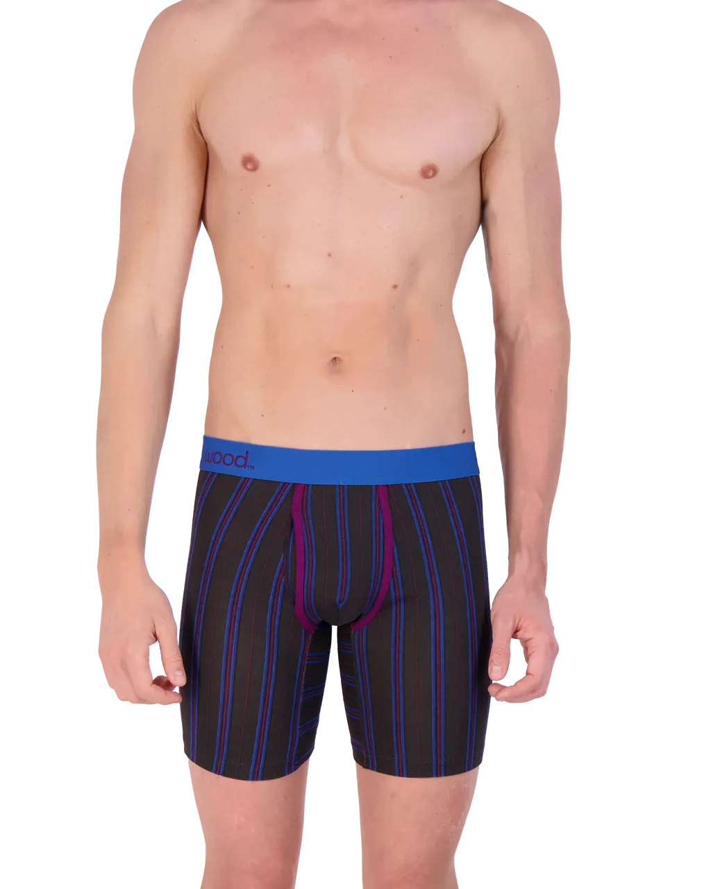 Biker Brief w/ Fly in Triple Threat Stripe by Wood Underwear
