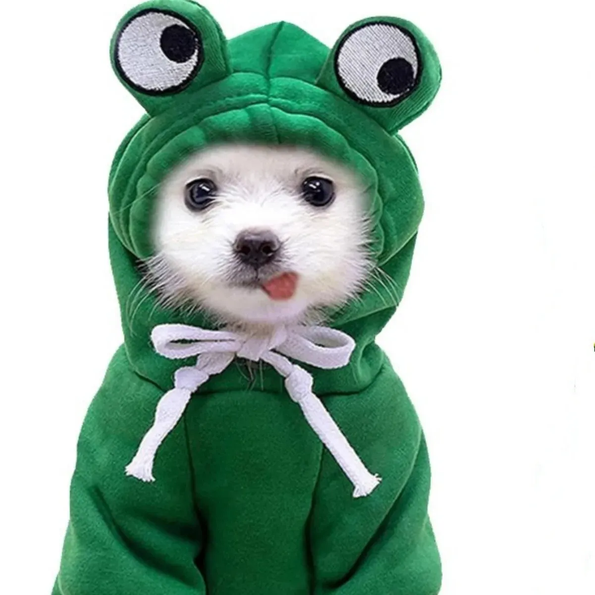 Cute Green Frog Dog Sweater - Hooded Pet Costume for All Seasons