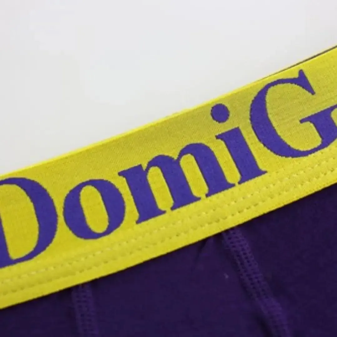DomiGe Men's Low-Rise Briefs with Contrast Logo Waistband Trunks