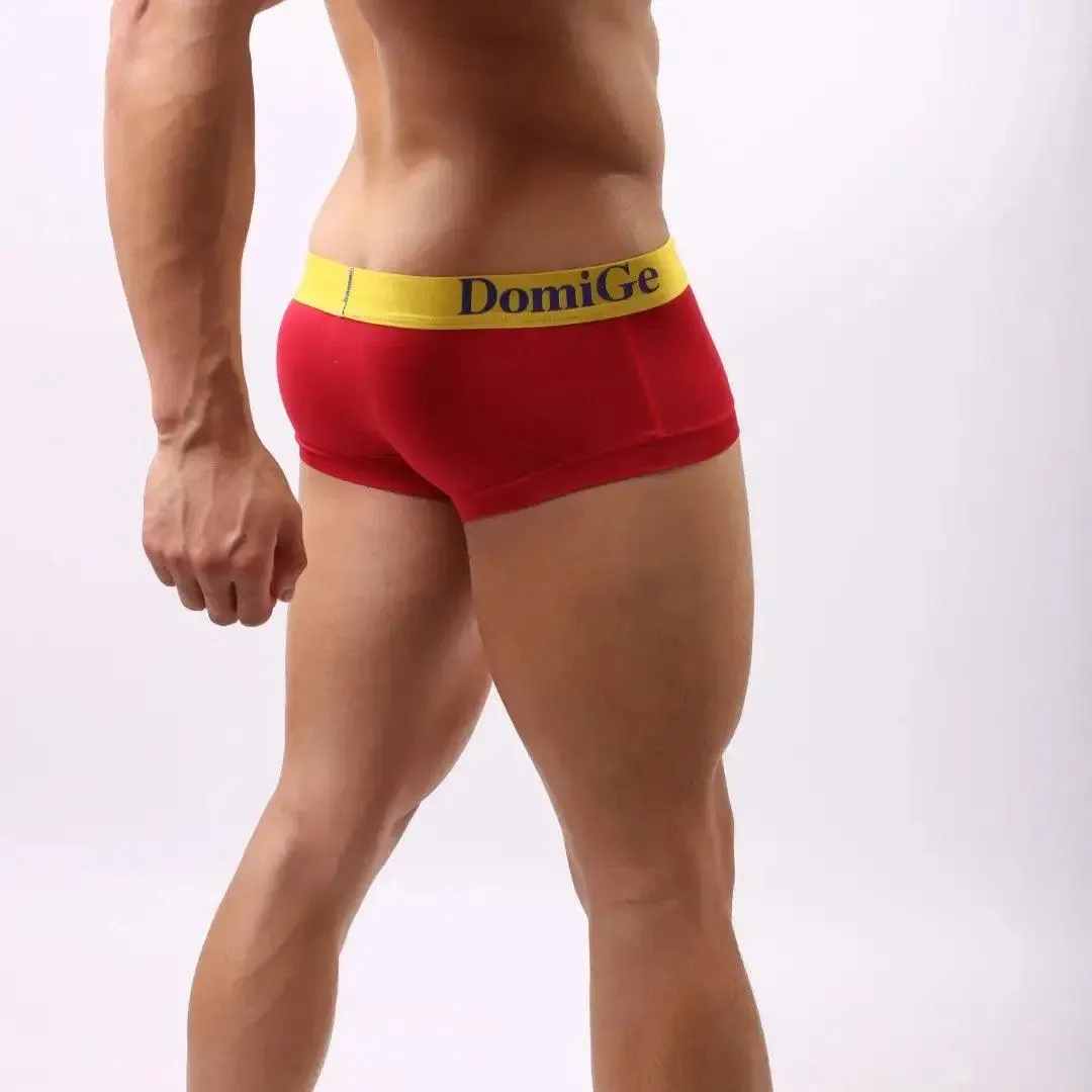 DomiGe Men's Low-Rise Briefs with Contrast Logo Waistband Trunks