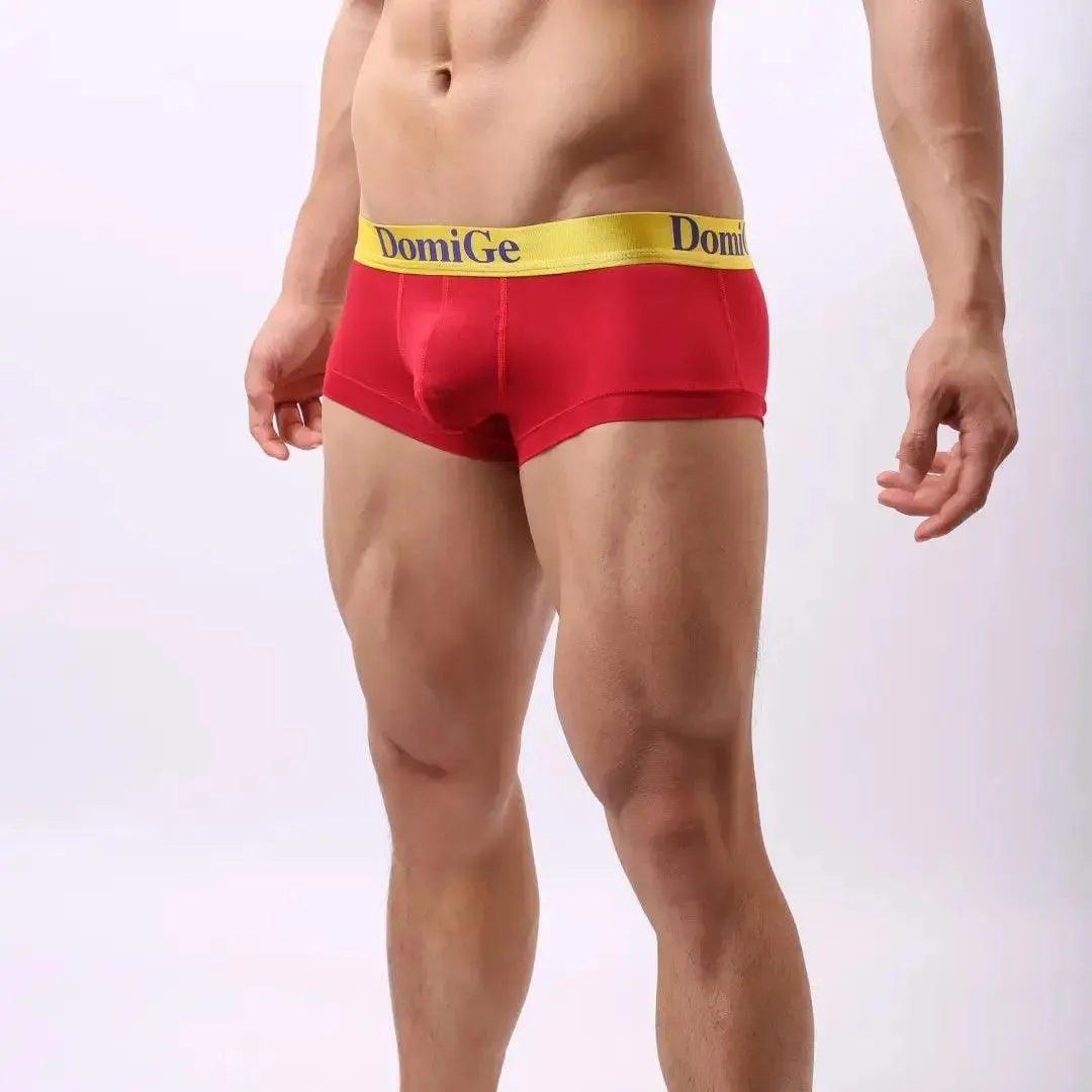DomiGe Men's Low-Rise Briefs with Contrast Logo Waistband Trunks
