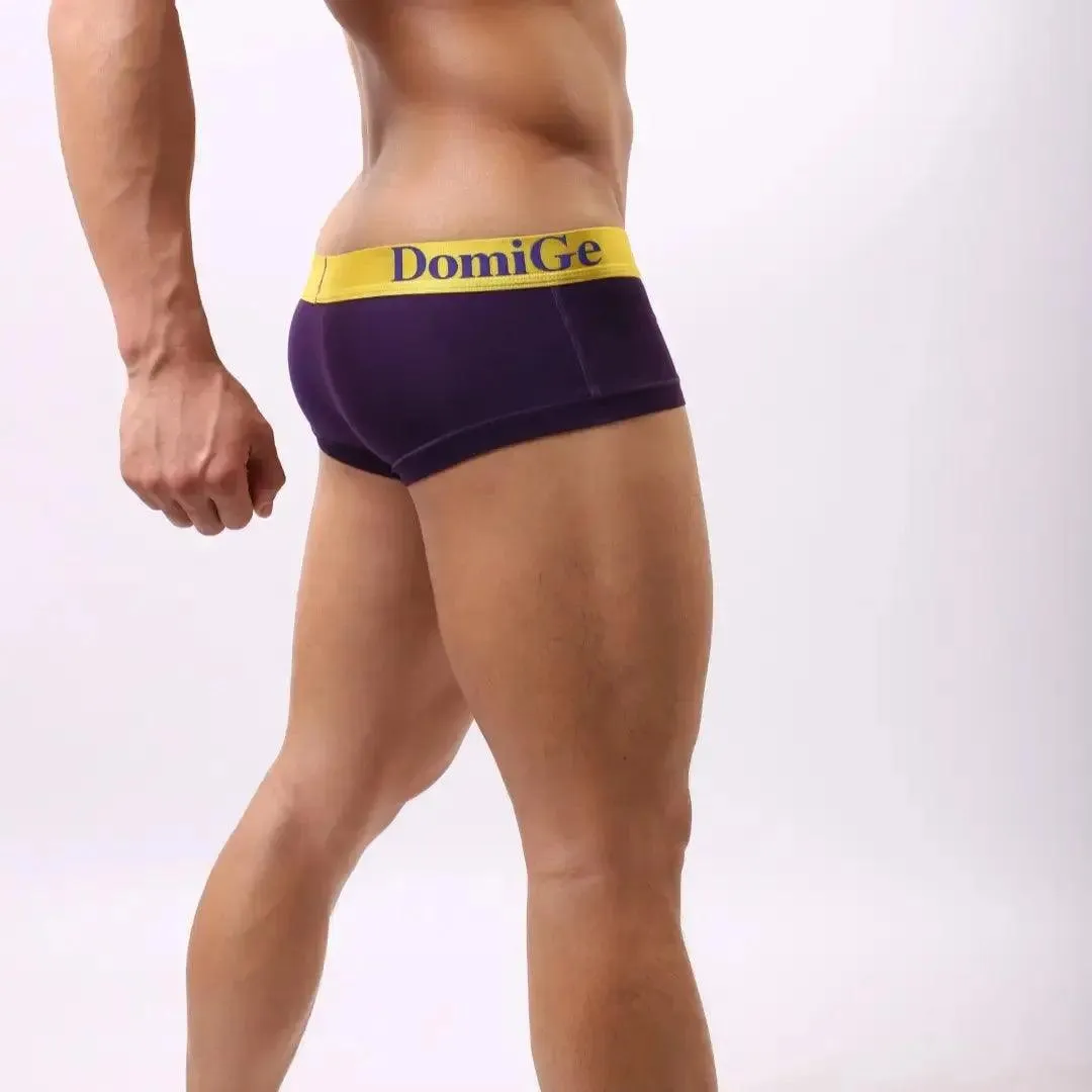 DomiGe Men's Low-Rise Briefs with Contrast Logo Waistband Trunks
