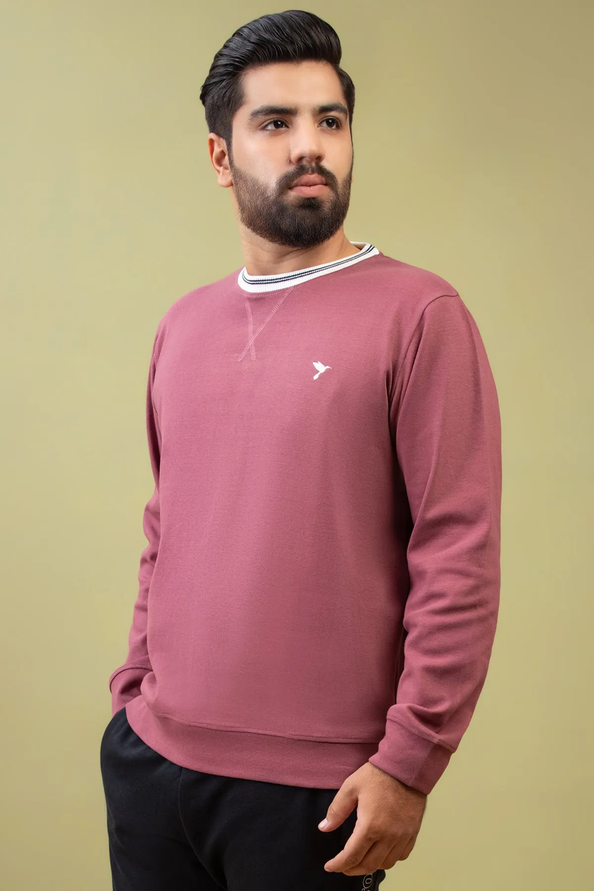 Dusty Rose Embroidered Sweatshirt (Plus Size) - W23 - MSW081P